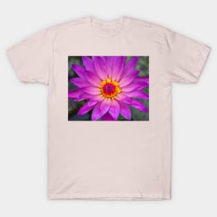 Pink Lotus with Red and Yellow Colours T-Shirt